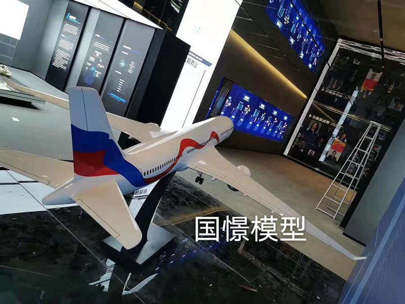惠安县飞机模型